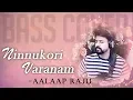 Download Lagu Ninnukori Varanam | #BassGuitarCover | AalaapRaju