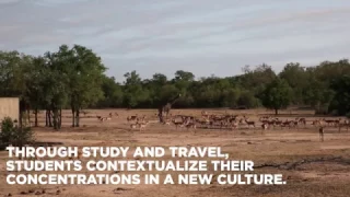 Albert Gallatin Scholars in South Africa
