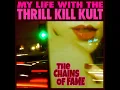 The Chains of Fame - My Life With the Thrill Kill Kult