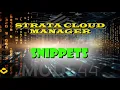 Palo Alto Networks SCM Snippets