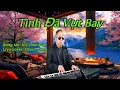 Download Lagu TÌNH ĐÃ VỤT BAY | S/T: VŨ TUẤN ĐỨC | DAVID DŨNG (LIVE COVER)