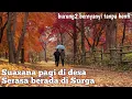Download Lagu SUASANA PAGI DI DESA DI SWISS SAAT MUSIM GUGUR, SEPERTI BERADA DI SURGA