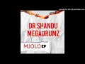 Dr Shandu & Megadrumz Ft Trigger_Mjolo