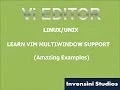 Vim Basics Multi Windows Editing