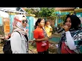 Download Lagu CINTA BAYANGAN * PUTRA GENADES * BPK. DANURI PILANGSARI TAMBAKDAHAN