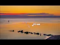 Calvin Harris, Jessie Reyez - Ocean (Lyrics)