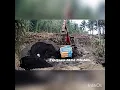 Download Lagu Tambang pasir wajak Malang