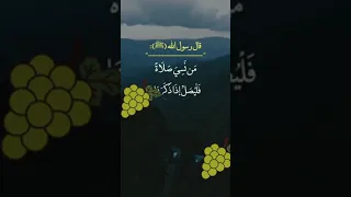 قال رسول الله صلى الله عليه وسلم  صلاة احاديث  حديث شريف  الله دندنها