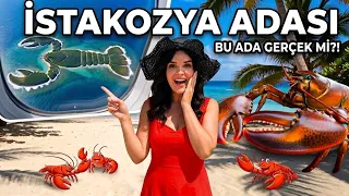 Kimsenin bilmediği İstakozya Adası’na  gitmeye çalışıyorum