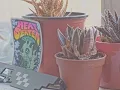 quick balcony jam (before the neighbours complain)