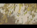 Sam Fischer - Carry It Well #Doesn't mean it isn't heavy, and I don't need some help - lyrics video
