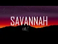 Diviners ft. Philly K - Savannah (Lyrics)