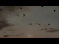 Fourtwnty - Diskusi Senja (Unofficial Lyrics)