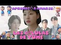 CON QUIEN DEBIO QUEDARSE YUMI ANALISIS COMPLETO DE LAS CELULAS DE YUMI