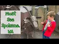 One Day in SPOKANE WASHINGTON - Must do day trip or layover in Spokane
