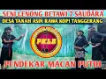 SENI LENONG BETAWI 7 SAUDARA  || PENDEKAR MACAN PUTIH ||  PELESTARI BUDAYA BETAWI