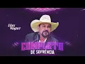Download Lagu Elias Wagner - COMPLETO DE SOFRÊNCIA (Atualizado 2025)