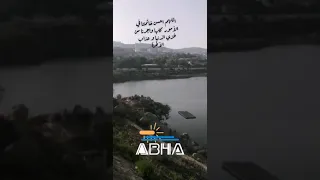 رأيتك ربي في كل شيء دندنها