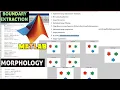 Boundary Extraction Using Morphology in MATLAB Boundary Extraction Morphology