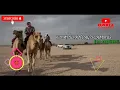 Download Lagu Album Gambus Irama padang pasir Terbaik Populer Panjang masa.