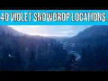 Red Dead Redemption II 40 Violet Snowdrop Locations