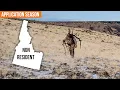 HUGE Changes to Idaho Non-Resident Deer and Elk Tags