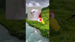 الحمامة رندا تغني اغاني بدون موسيقى اكتبولي ف التعليقات الاغني الي حابين تسمعوها 