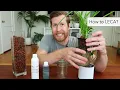 LECA Basics for Beginners / LECA 101 Semi Hydroponics | How To Ep 25