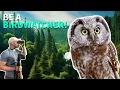 Birdwatching 101 10 Essential Tips for Beginners