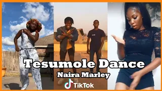 tesumole dance naira marley tesumole tesumole lyrics tesumole video gbese ko tesu mole