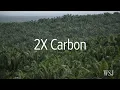 Southeast Asia's Haze Explained