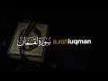 Download Lagu Tadabbur Surah Luqman سورة لقمان - Hani Ar Rifa'i | Tadabbur Daily