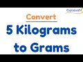 How to Convert 5 Kilograms to Grams 5kg to g
