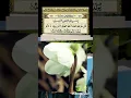 Download Lagu quran 112 surah al ikhlas