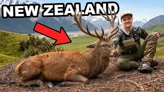 I Hunted 14 Days Straight in New Zealand!