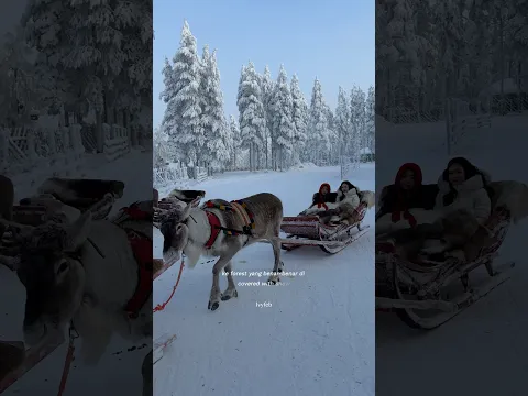 Pertama kali naik rusa santa claus🦌🎅🏻 di Finland🇫🇮