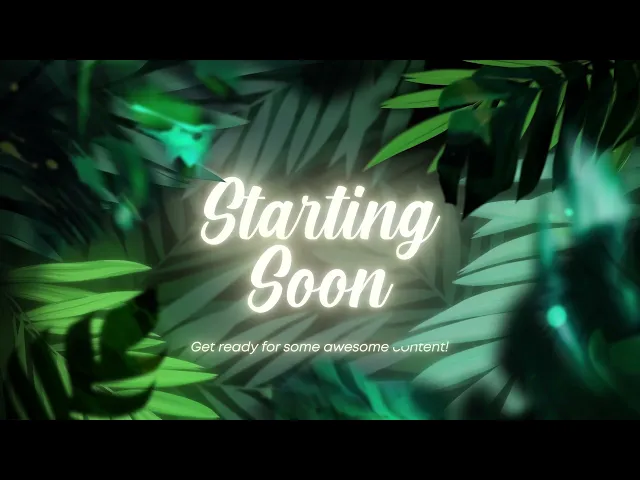 Animation de l’Overlay Seijaku