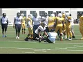 Kaos bulldogs 06 07 19