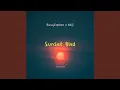 Download Lagu Sunset Blvd