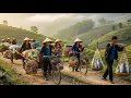 Download Lagu Vietnam’s Hidden Mountain Market | Fresh Foods, Chickens \u0026 Village Traditions