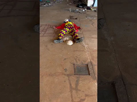 ACORDOU ASSUSTADO QUANDO VIU A BOLA