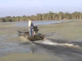 Go-Devil 31 HP Longtail