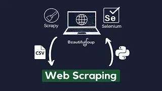 Reddit data scraping using the API PRAW 2024