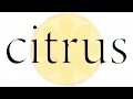Lagu citrus - Opening Officiel