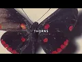 UICIDEBOY - THORNS