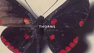 UICIDEBOY - THORNS