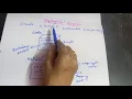 How to draw Deployment diagram