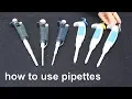 How to Use Micropipettes - Techniques Demonstration