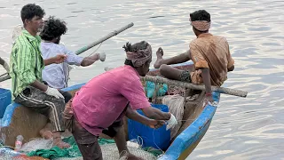 தண்ணிகேன்+மைதாமாவு வைத்து கெண்டை மீன் பிடிக்கும் முறை/water bottle using fishtrap at river