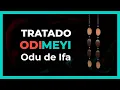 TREATISE on the Ifa Sign or Odu ODI MEYI 7-7 IFA SAYS advice proverbs and SECRETS